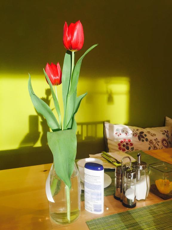 דיסלדורף Apartmenthaus Sonnen מראה חיצוני תמונה